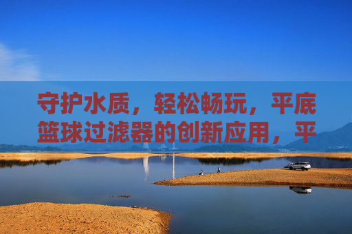 守护水质,轻松畅玩,平底篮球过滤器的创新应用,平底篮球过滤器,创新守护水质,轻松畅玩无忧