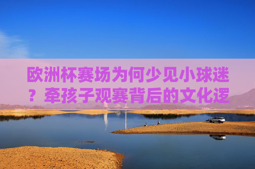 欧洲杯赛场为何少见小球迷?牵孩子观赛背后的文化逻辑与社会现实,欧洲杯赛场少见小球迷,牵孩子观赛的文化逻辑与社会现实