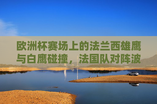 欧洲杯赛场上的法兰西雄鹰与白鹰碰撞,法国队对阵波兰队战绩全解析