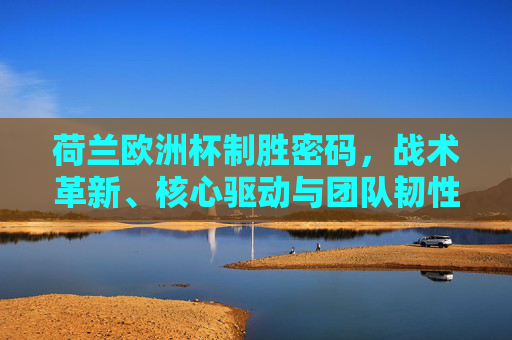 荷兰欧洲杯制胜密码,战术革新、核心驱动与团队韧性的交响,荷兰欧洲杯制胜密码,战术革新、核心驱动与团队韧性的交响