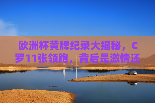 欧洲杯黄牌纪录大揭秘，C罗11张领跑，背后是激情还是犯规？C罗11张欧洲杯黄牌领跑，激情还是犯规？