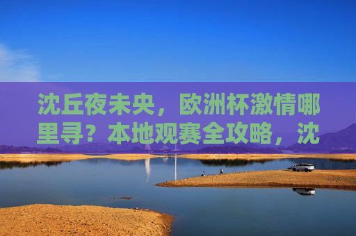 沈丘夜未央,欧洲杯激情哪里寻?本地观赛全攻略,沈丘夜未央,欧洲杯本地观赛激情攻略
