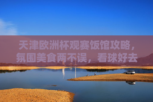 天津欧洲杯观赛饭馆攻略，氛围美食两不误，看球好去处全汇总，天津欧洲杯观赛饭馆攻略，氛围美食两不误，看球好去处全汇总