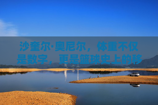 沙奎尔·奥尼尔，体重不仅是数字，更是篮球史上的移动堡垒，奥尼尔，篮球史上的体重移动堡垒