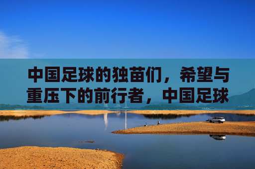 中国足球的独苗们,希望与重压下的前行者,中国足球独苗,希望与重压下的前行者