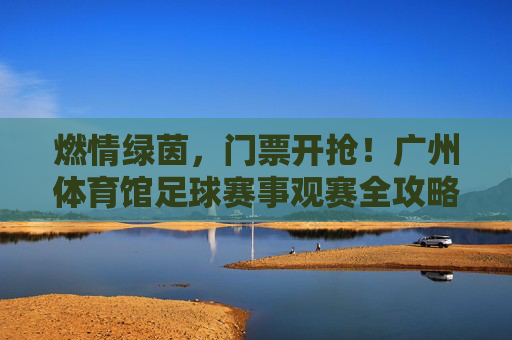 燃情绿茵，门票开抢！广州体育馆足球赛事观赛全攻略，广州体育馆足球赛事门票开抢！观赛全攻略