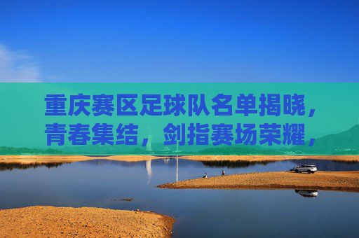 重庆赛区足球队名单揭晓，青春集结，剑指赛场荣耀，重庆赛区足球队名单揭晓，青春集结剑指荣耀