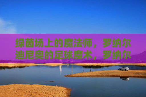 绿茵场上的魔法师,罗纳尔迪尼奥的足球魔术,罗纳尔迪尼奥,绿茵场的足球魔术师