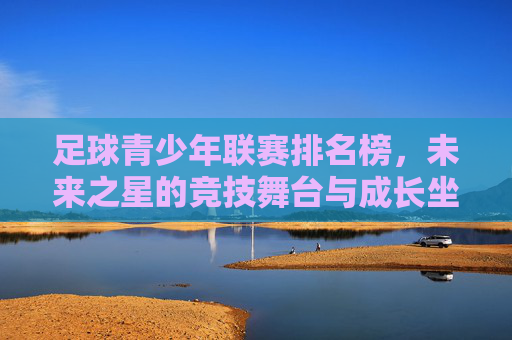 足球青少年联赛排名榜，未来之星的竞技舞台与成长坐标，足球青少年联赛，未来之星的竞技舞台与成长坐标