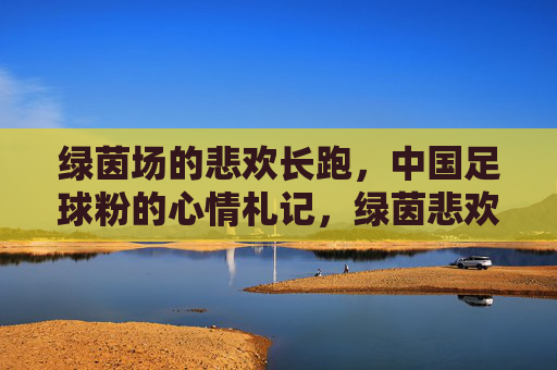 绿茵场的悲欢长跑,中国足球粉的心情札记,绿茵悲欢长跑,中国足球粉的心情札记