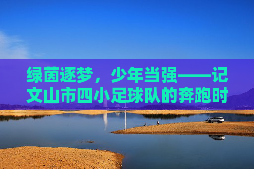 绿茵逐梦，少年当强——记文山市四小足球队的奔跑时光，绿茵逐梦，少年当强