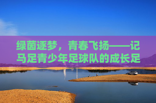 绿茵逐梦，青春飞扬——记马足青少年足球队的成长足迹，绿茵逐梦青春飞扬——马足青少年足球队成长足迹
