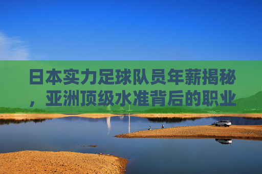 日本实力足球队员年薪揭秘,亚洲顶级水准背后的职业化密码,日本球员年薪揭秘,亚洲顶级水准的职业化密码