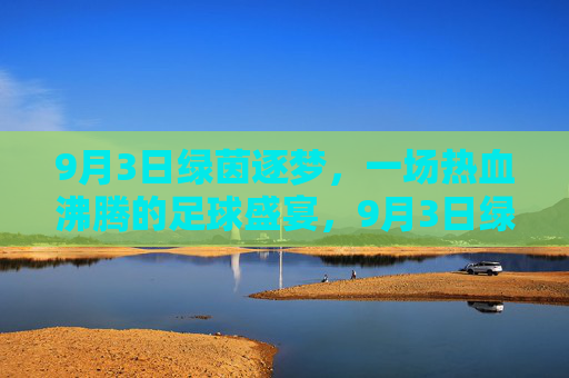 9月3日绿茵逐梦,一场热血沸腾的足球盛宴,9月3日绿茵逐梦,热血足球盛宴
