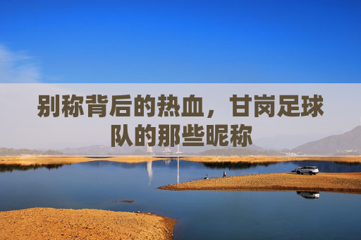 别称背后的热血,甘岗足球队的那些昵称