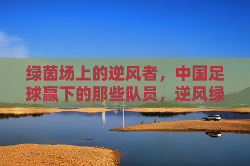 绿茵场上的逆风者,中国足球赢下的那些队员,逆风绿茵场,中国足球赢下的那些队员