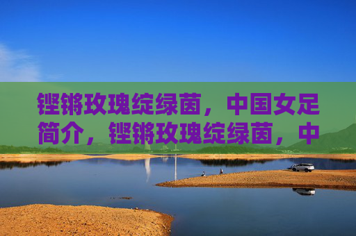 铿锵玫瑰绽绿茵，中国女足简介，铿锵玫瑰绽绿茵，中国女足