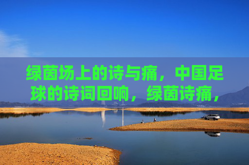 绿茵场上的诗与痛,中国足球的诗词回响,绿茵诗痛,中国足球的回响