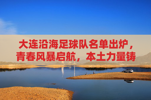 大连沿海足球队名单出炉,青春风暴启航,本土力量铸魂,大连沿海足球队名单出炉,青春风暴启航,本土力量铸魂