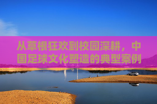 从草根狂欢到校园深耕,中国足球文化塑造的典型案例与启示,中国足球文化塑造,从草根狂欢到校园深耕的实践与启示