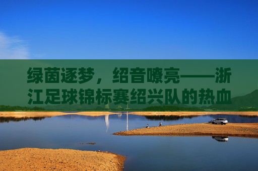 绿茵逐梦，绍音嘹亮——浙江足球锦标赛绍兴队的热血征途，绿茵逐梦，绍兴热血征途