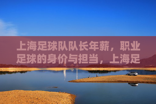 上海足球队队长年薪,职业足球的身价与担当,上海足球队队长年薪,职业足球的身价与担当