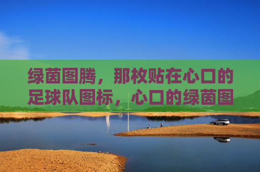 绿茵图腾,那枚贴在心口的足球队图标,心口的绿茵图腾