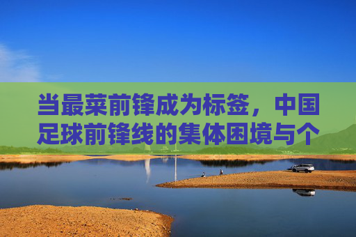 当最菜前锋成为标签,中国足球前锋线的集体困境与个体反思,最菜前锋标签,中国足球前锋线的集体困境与个体反思