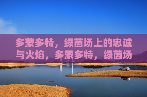 多蒙多特，绿茵场上的忠诚与火焰，多蒙多特，绿茵场上的忠诚火焰