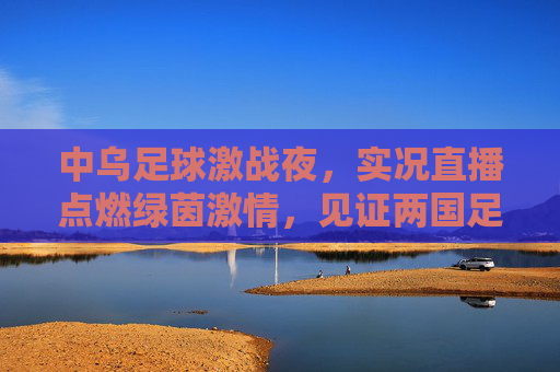 中乌足球激战夜,实况直播点燃绿茵激情,见证两国足球的碰撞与共鸣,中乌足球激战夜,实况直播点燃绿茵激情