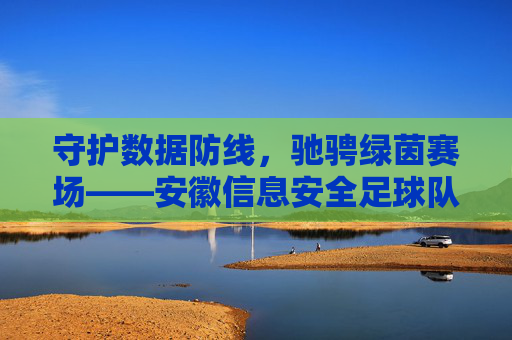 守护数据防线，驰骋绿茵赛场——安徽信息安全足球队员风采录，绿茵驰骋守数据——安徽信息安全足球队员风采