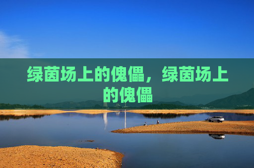 绿茵场上的傀儡,绿茵场上的傀儡