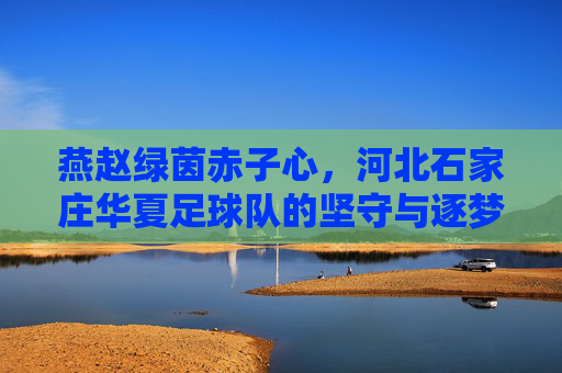 燕赵绿茵赤子心,河北石家庄华夏足球队的坚守与逐梦,燕赵绿茵赤子心,华夏足球队坚守逐梦