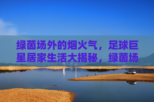 绿茵场外的烟火气,足球巨星居家生活大揭秘,绿茵场外的烟火,足球巨星居家生活揭秘