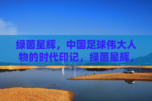 绿茵星辉,中国足球伟大人物的时代印记,绿茵星辉,中国足球伟大人物的时代印记