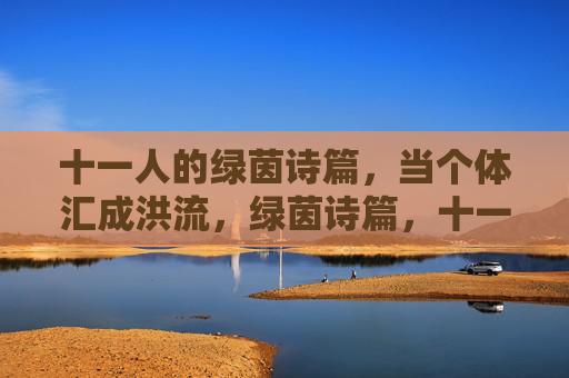 十一人的绿茵诗篇，当个体汇成洪流，绿茵诗篇，十一人的个体洪流