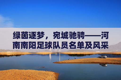 绿茵逐梦,宛城驰骋——河南南阳足球队员名单及风采,绿茵逐梦宛城驰骋,河南南阳足球队员名单及风采