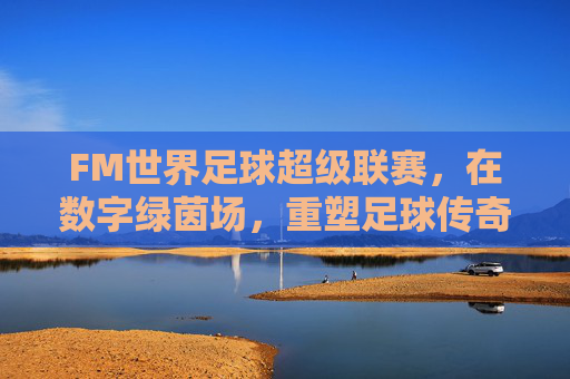 FM世界足球超级联赛，在数字绿茵场，重塑足球传奇，FM世界足球超级联赛，数字绿茵场重塑足球传奇