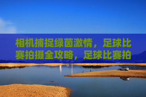 相机捕捉绿茵激情,足球比赛拍摄全攻略,足球比赛拍摄全攻略,相机捕捉绿茵激情