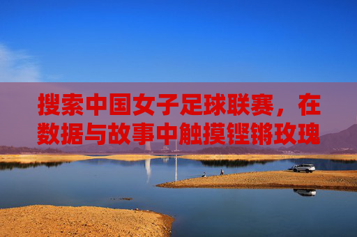 搜索中国女子足球联赛,在数据与故事中触摸铿锵玫瑰的脉搏,铿锵玫瑰的脉搏,中国女子足球联赛的数据与故事