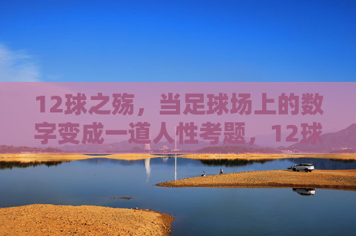 12球之殇,当足球场上的数字变成一道人性考题,12球之殇,数字背后的人性考题