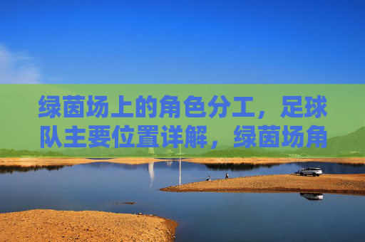 绿茵场上的角色分工,足球队主要位置详解,绿茵场角色分工,足球队主要位置详解
