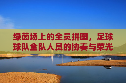 绿茵场上的全员拼图,足球球队全队人员的协奏与荣光,绿茵拼图协奏曲