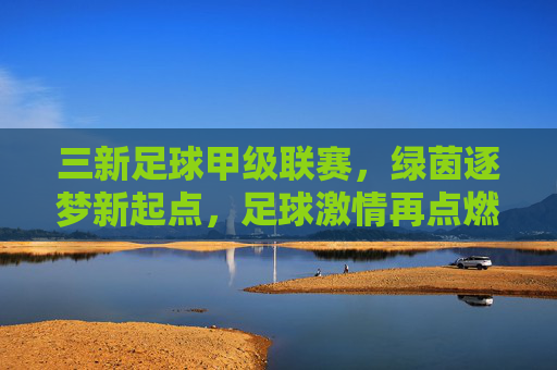 三新足球甲级联赛,绿茵逐梦新起点,足球激情再点燃