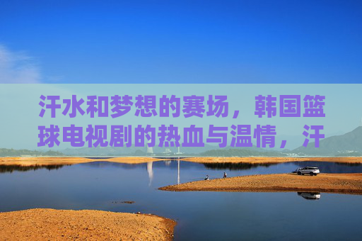 汗水和梦想的赛场，韩国篮球电视剧的热血与温情，汗水和梦想的赛场，韩国篮球剧的热血温情