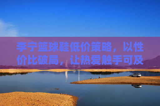 李宁篮球鞋低价策略，以性价比破局，让热爱触手可及，李宁篮球鞋，性价比破局，热爱触手可及