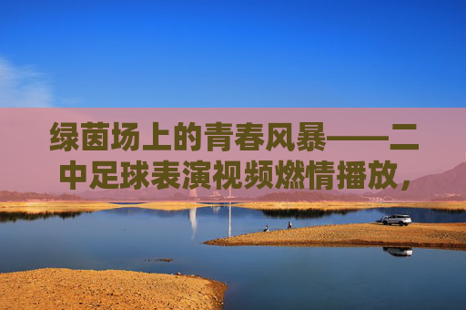 绿茵场上的青春风暴——二中足球表演视频燃情播放,绿茵青春风暴,二中足球表演燃情上演