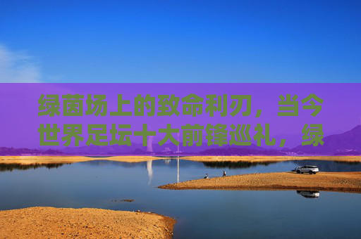 绿茵场上的致命利刃,当今世界足坛十大前锋巡礼,绿茵致命利刃,当今足坛十大前锋巡礼