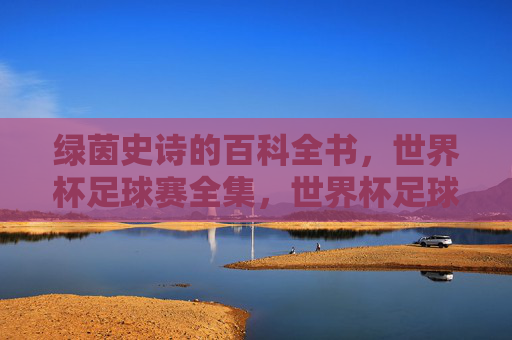 绿茵史诗的百科全书，世界杯足球赛全集，世界杯足球赛，绿茵史诗百科全书