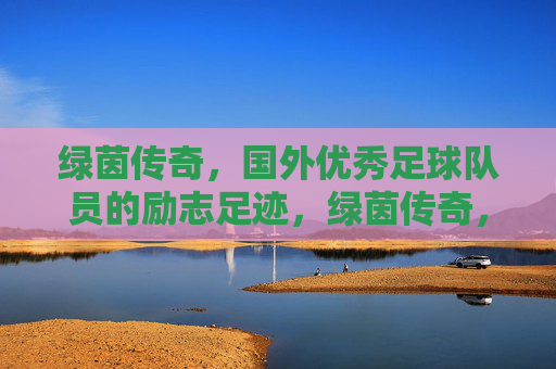 绿茵传奇,国外优秀足球队员的励志足迹,绿茵传奇,海外球员励志足迹